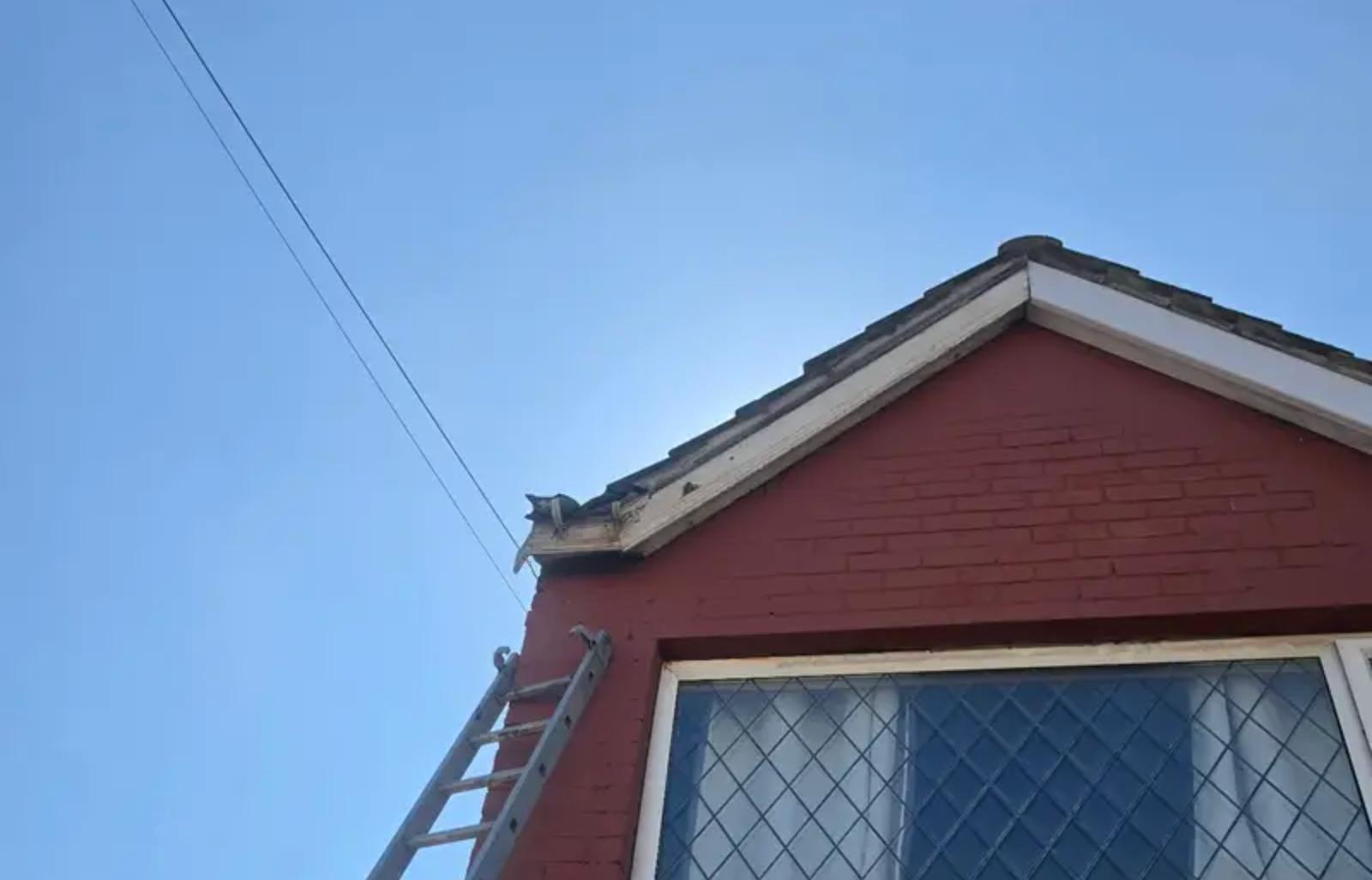 Gutter repair and fascia work using ladders in Sheffield